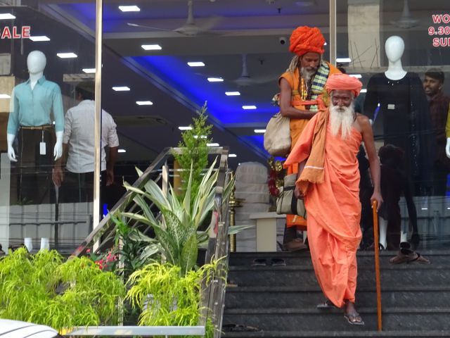 Mysore